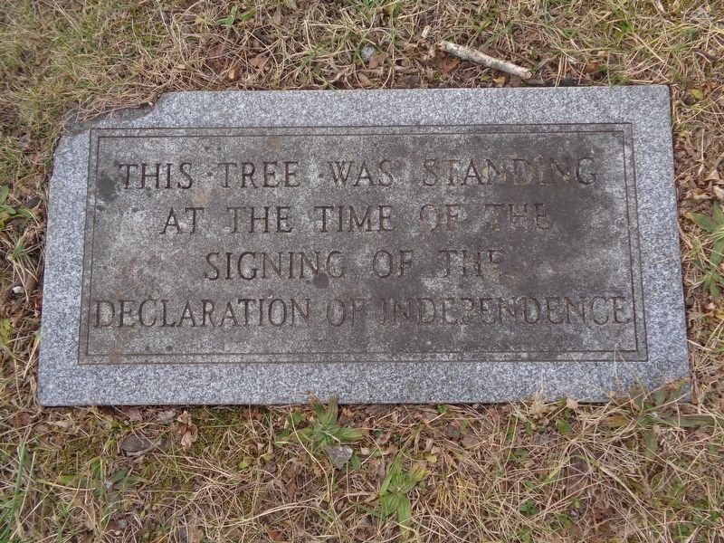 Tree Marker image. Click for full size.