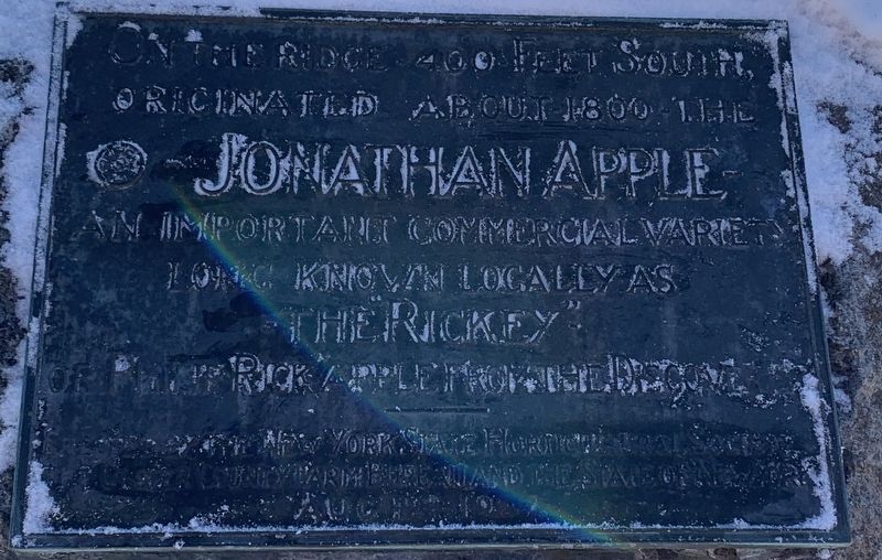 Jonathan Apple Marker image. Click for full size.
