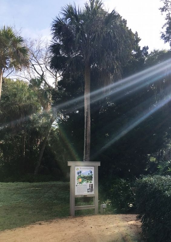 The Citrus Groves Marker. Click for full size. The Citrus Groves Marker image. Click for full size.