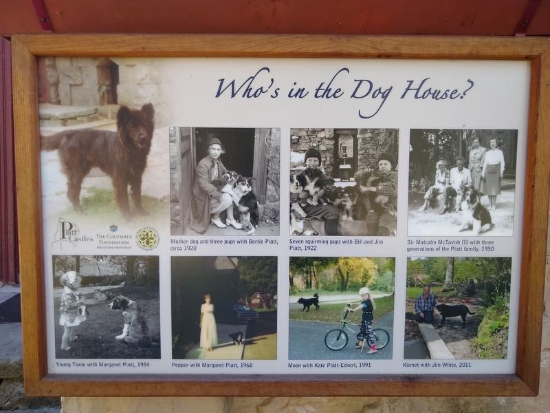 Who's in the Dog House? Marker. Click for full size. Who's in the Dog House? Marker image. Click for full size.
