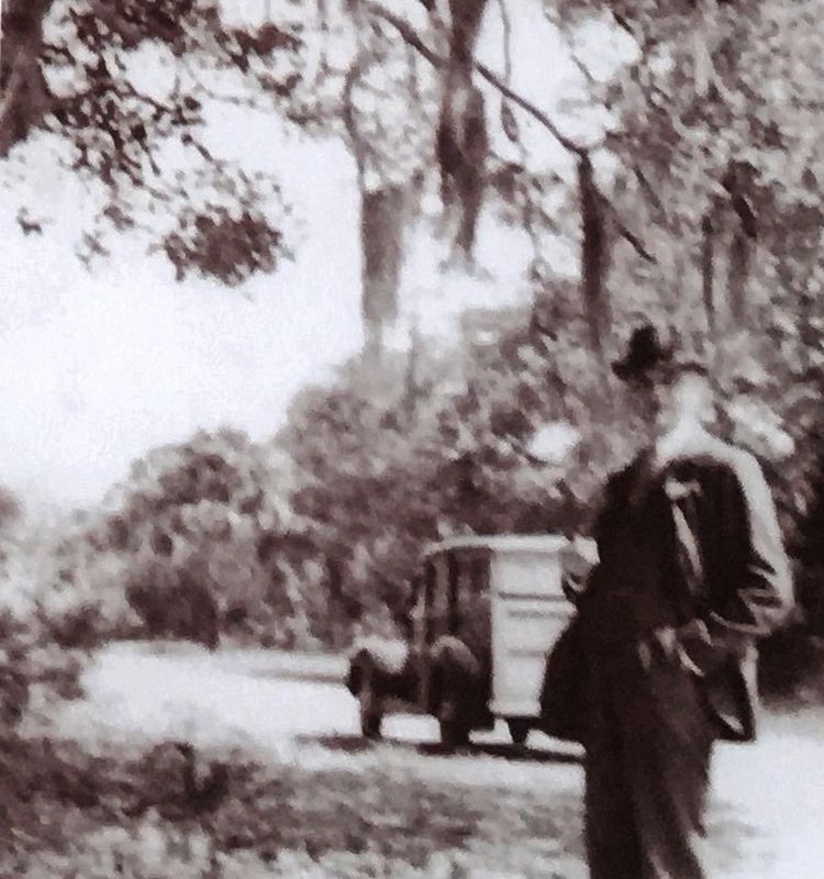 Photo Insert: Bottom Right, Family Woody in background. Click for full size. Photo Insert: Bottom Right, Family Woody in background image. Click for full size.