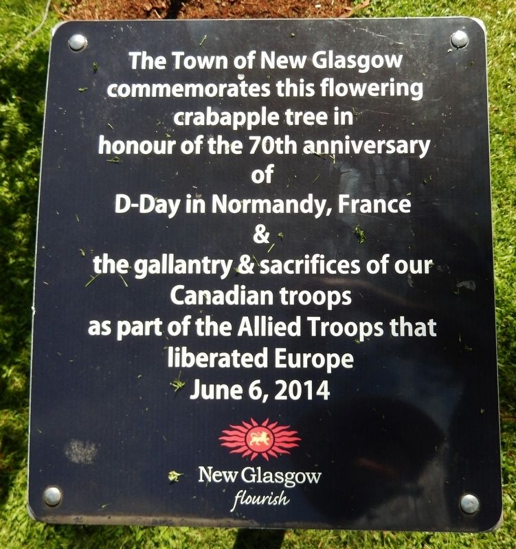 New Glasgow D-Day Memorial image. Click for full size.