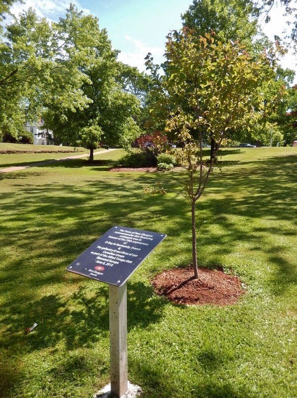 New Glasgow D-Day Memorial & Tree image. Click for full size.