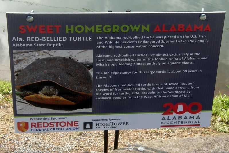 Ala. Red-Bellied Turtle Marker image. Click for full size.