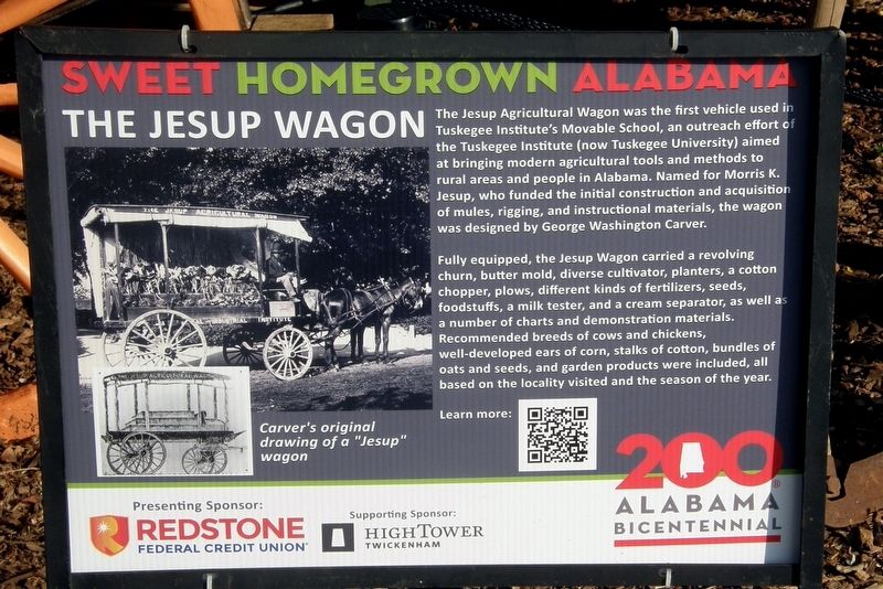 The Jesup Wagon Marker image. Click for full size.