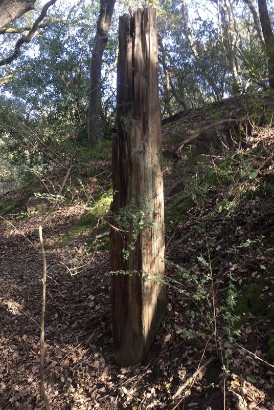 Trestle Remnant image. Click for full size.