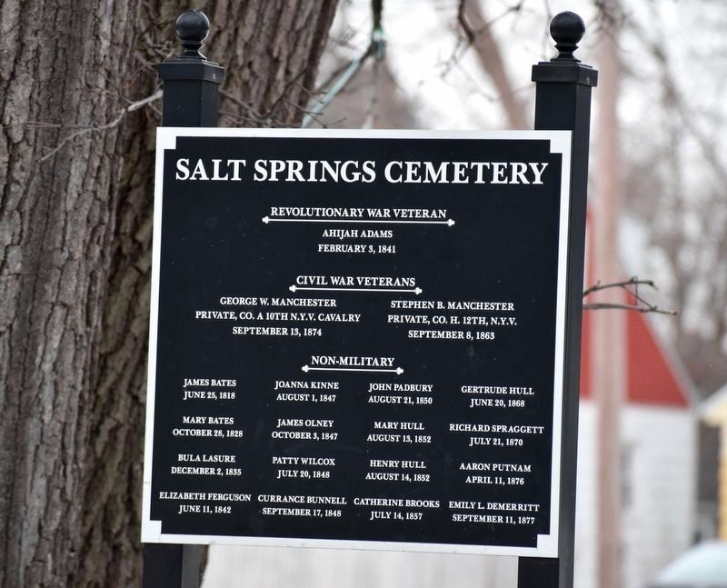 Salt Springs Cemetery Burials. Click for full size. Salt Springs Cemetery Burials image. Click for full size.