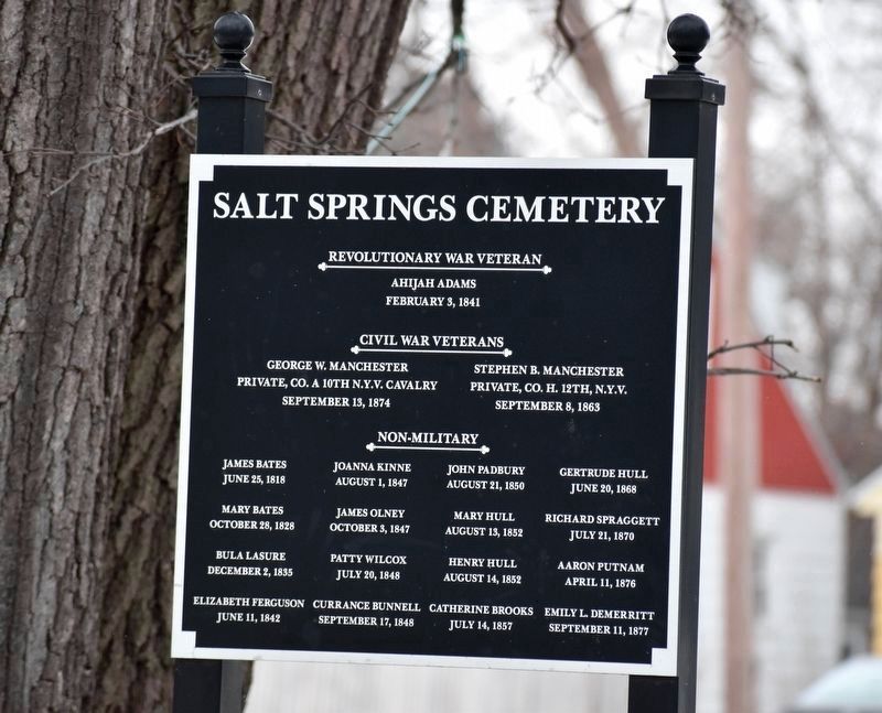 Salt Springs Cemetery Burials image. Click for full size.
