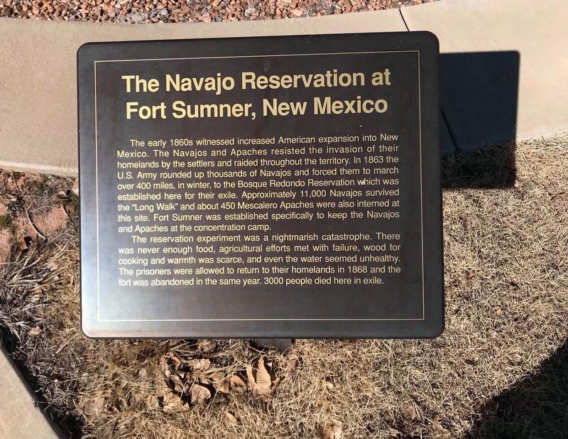 An additional nearby marker for the Navajo Reservation at Fort Sumner image. Click for full size.