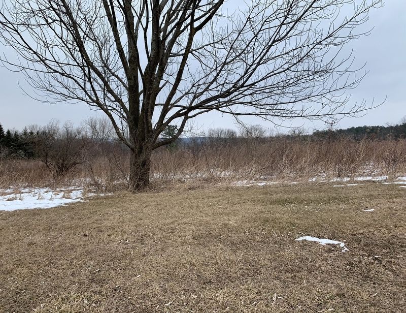 Canagere Site image. Click for full size.