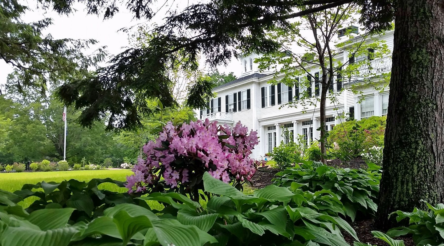 Blaine Mansion (<i>south side</i>) image. Click for full size.
