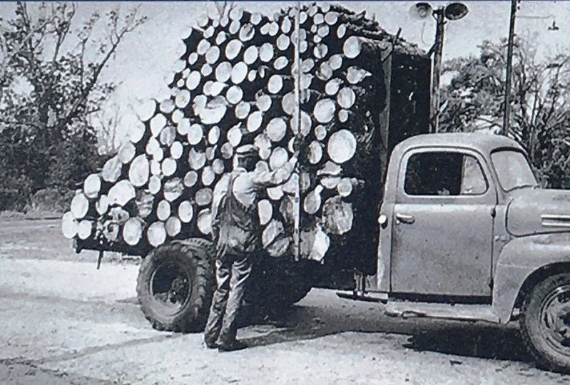 Photo Insert Bottom Left: Loaded pulpwood,St. Marys, c.1950. Click for full size. Photo Insert Bottom Left: Loaded pulpwood,St. Marys, c.1950 image. Click for full size.
