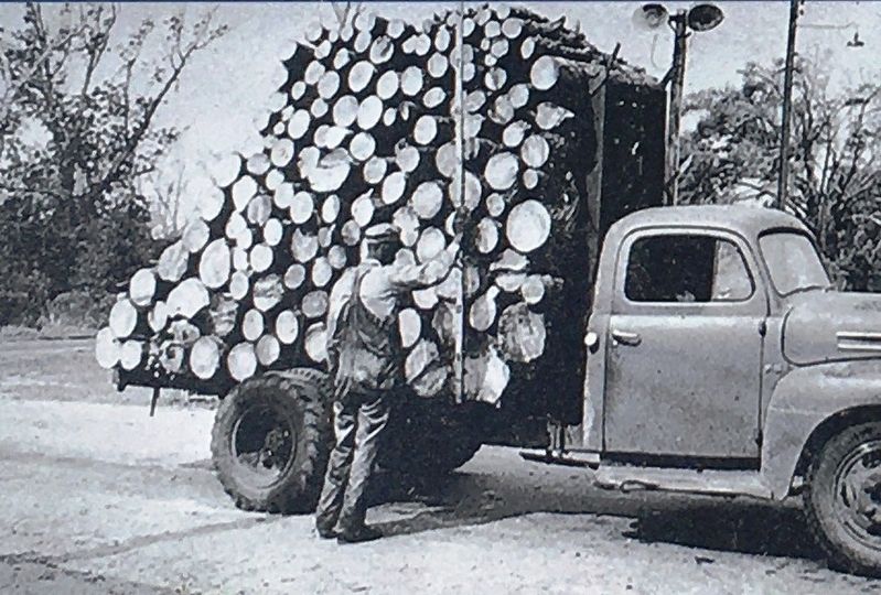 Photo Insert Bottom Left: Loaded pulpwood,St. Marys, c.1950 image. Click for full size.