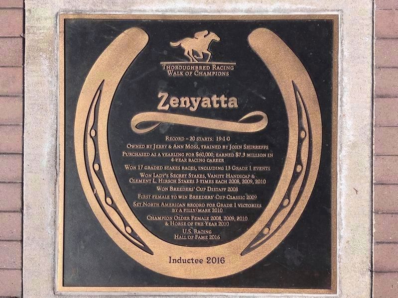 Zenyatta Plaque. Click for full size. Zenyatta Plaque image. Click for full size.