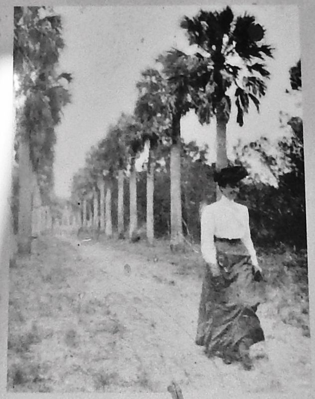 Marker detail: An early tourist walks the plantation grounds image. Click for full size.