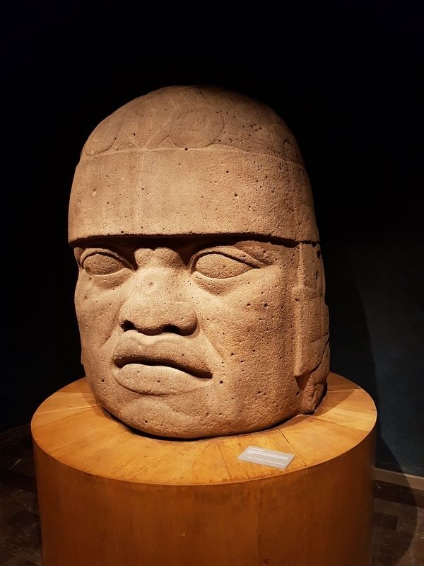 Olmec Colossal Head 17 image. Click for full size.