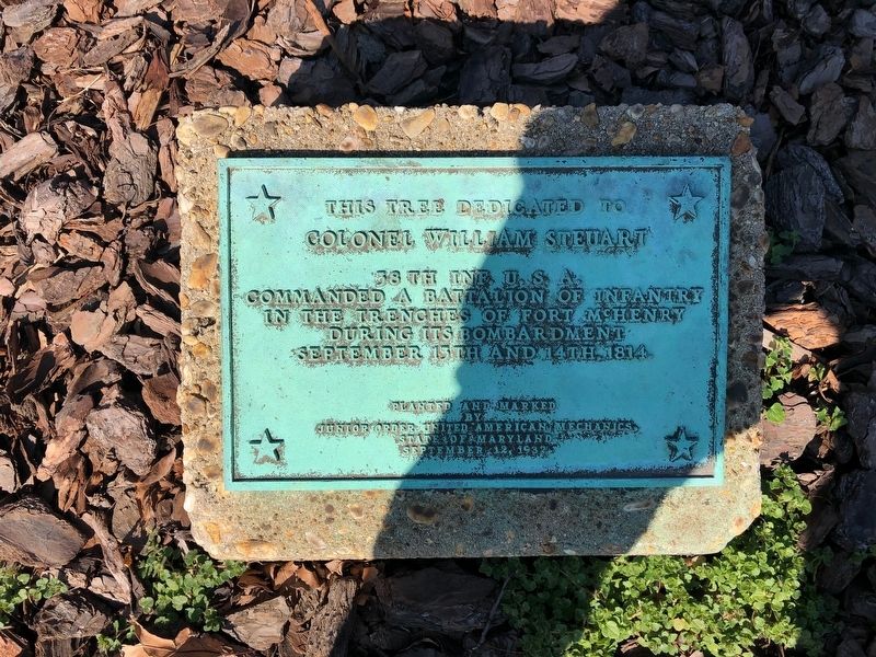This Tree Dedicated to Colonel William Steuart Marker image. Click for full size.