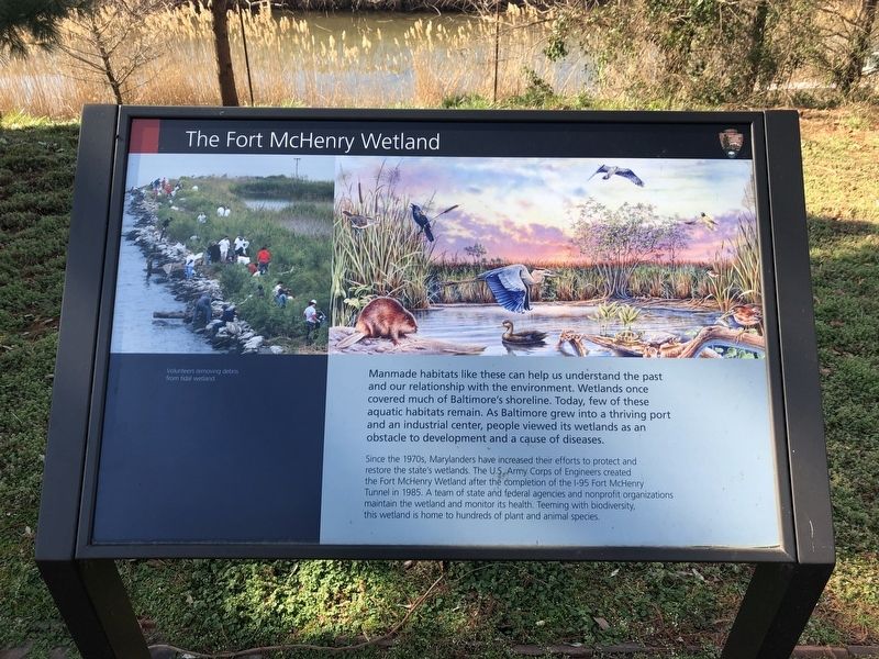 The Fort McHenry Wetland Marker image. Click for full size.