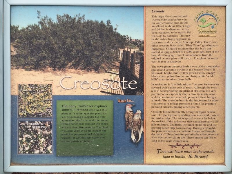 Creosote Marker image. Click for full size.