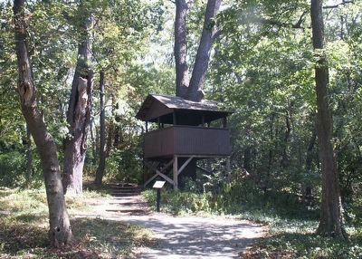 A House in a Tree and Marker. Click for full size. A House in a Tree and Marker image. Click for full size.