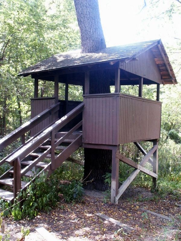 Replica tree house. Click for full size. Replica tree house image. Click for full size.