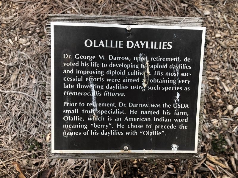 Olallie Daylilies Marker image. Click for full size.