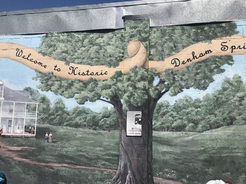 Historic Denham Springs Marker. Click for full size. Historic Denham Springs Marker image. Click for full size.