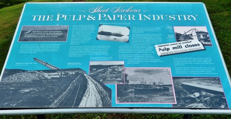 The Pulp & Paper Industry Marker image. Click for full size.