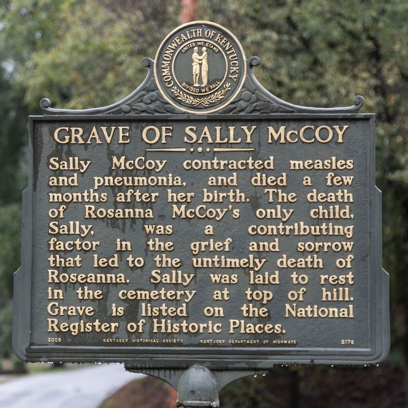 Grave of Sally McCoy Marker image. Click for full size.