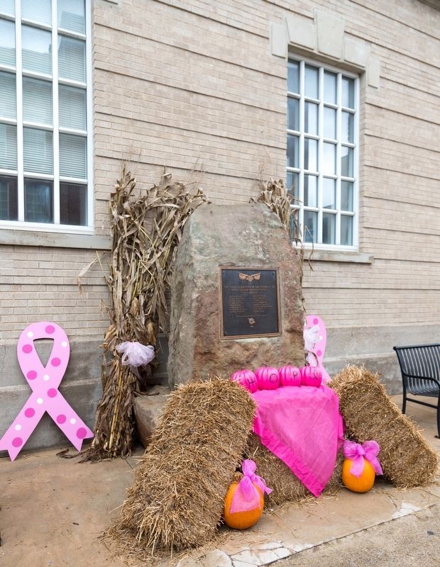 Revolutionary Soldiers Monument image. Click for full size.