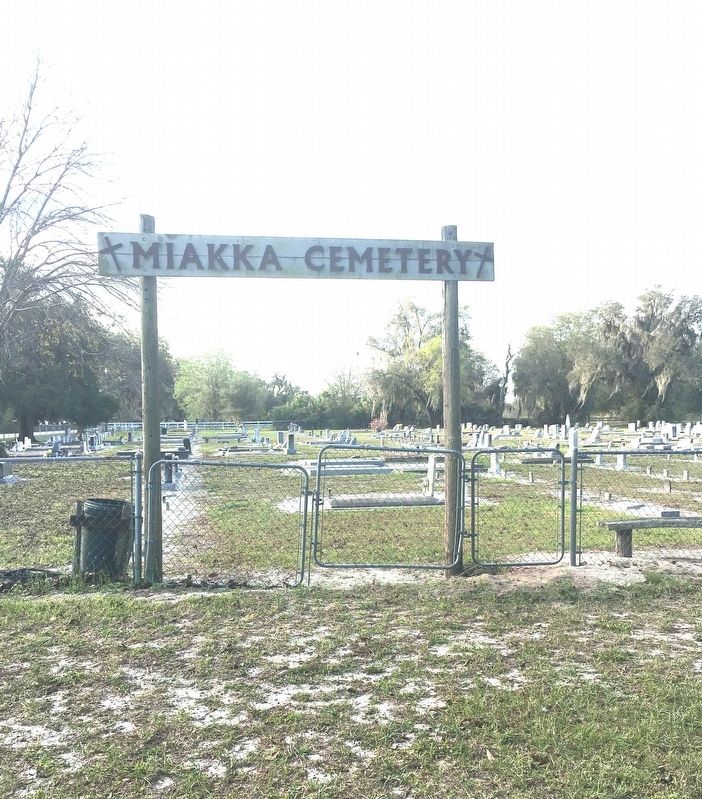 Miakka Cemetery. Click for full size. Miakka Cemetery image. Click for full size.