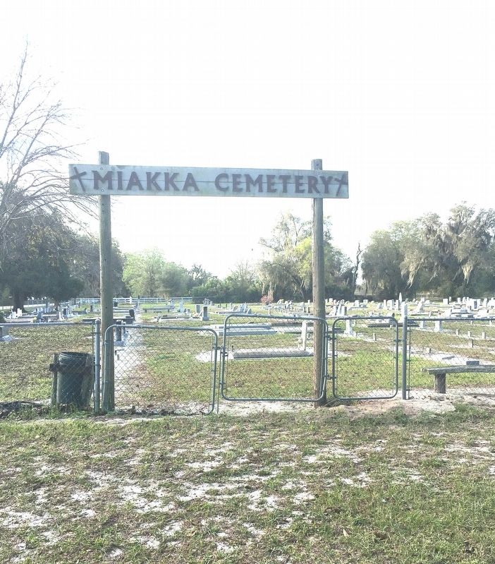 Miakka Cemetery image. Click for full size.