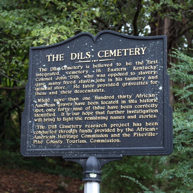 The Dils Cemetery Marker image. Click for full size.