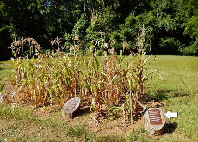 Mountain Farms: A Way of Life Marker • <i>wide view<br>(marker visible on right)</i>. Click for full size. Mountain Farms: A Way of Life Marker • <i>wide view<br>(marker visible on right)</i> image. Click for full size.