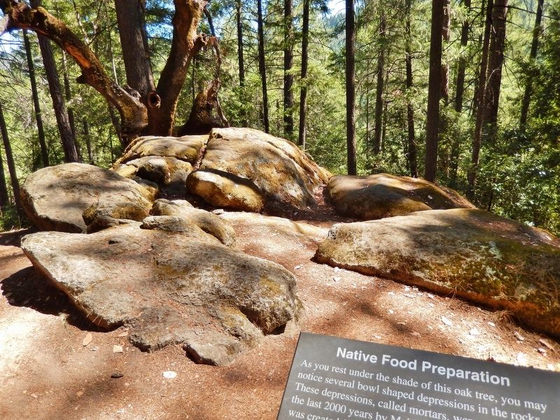 Native Food Preparation Marker (<i>wide view</i>) image. Click for full size.