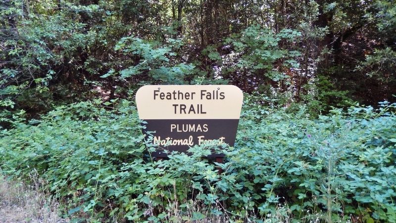 Feather Falls Trailhead<br>(<i>park here to access trail</i>) image. Click for full size.