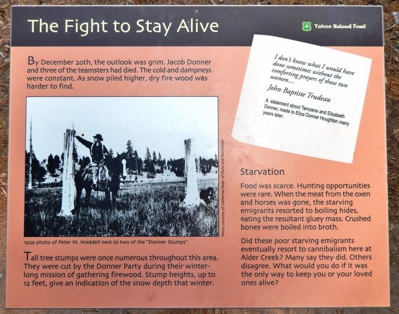 The Fight to Stay Alive Marker. Click for full size. The Fight to Stay Alive Marker image. Click for full size.