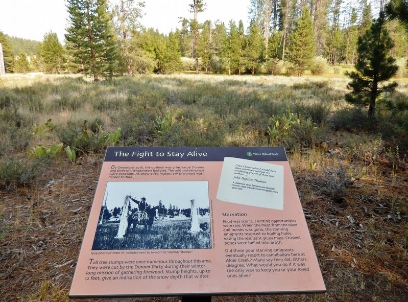 The Fight to Stay Alive Marker (<i>wide view</i>). Click for full size. The Fight to Stay Alive Marker (<i>wide view</i>) image. Click for full size.