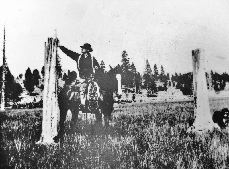 Marker detail: 1929 photo of Peter M. Weddell next to two of the "Donner Stumps". Click for full size. Marker detail: 1929 photo of Peter M. Weddell next to two of the "Donner Stumps" image. Click for full size.