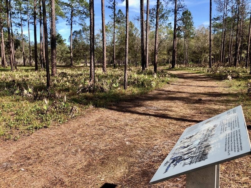 Confusion Under Fire Marker along battlefield trail.. Click for full size. Confusion Under Fire Marker along battlefield trail. image. Click for full size.