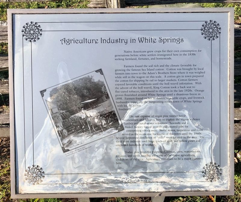 Agriculture Industry in White Springs image. Click for full size.