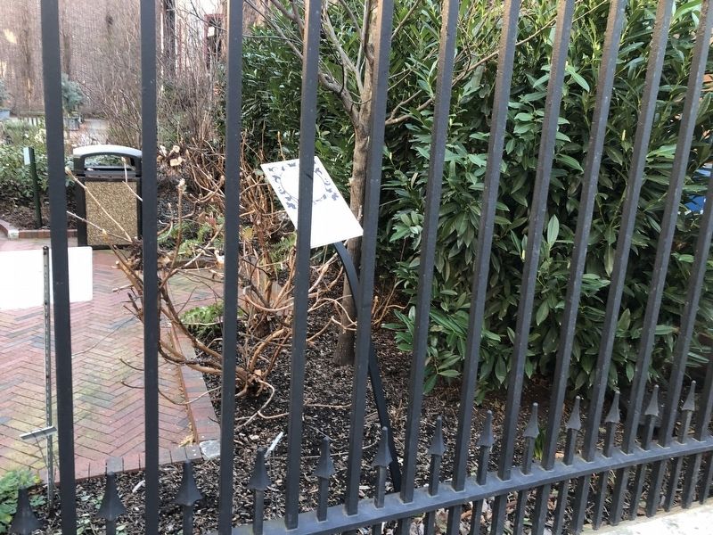 Benjamin Rush Medicinal Plant Garden Marker image. Click for full size.