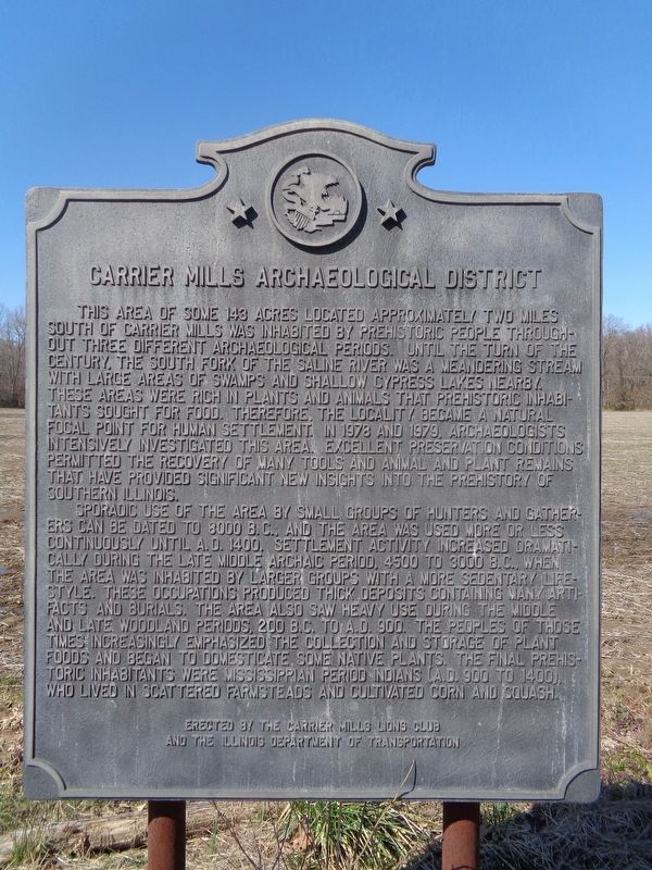 Carrier Mills Archaeological District Marker image. Click for full size.