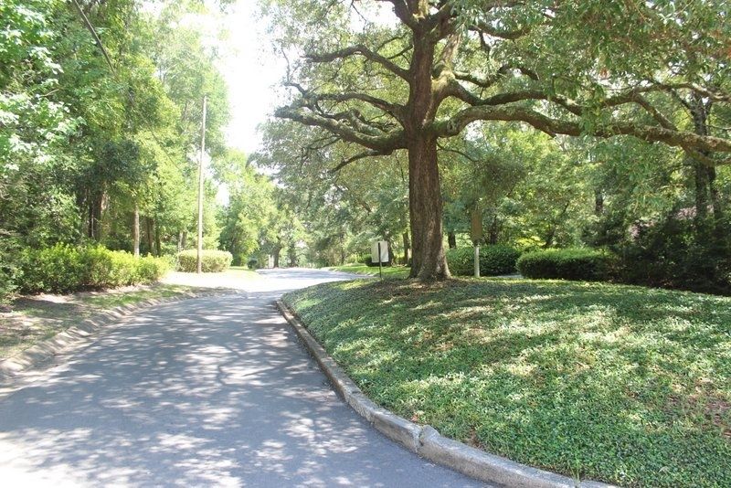Lavallet Marker in median image. Click for full size.