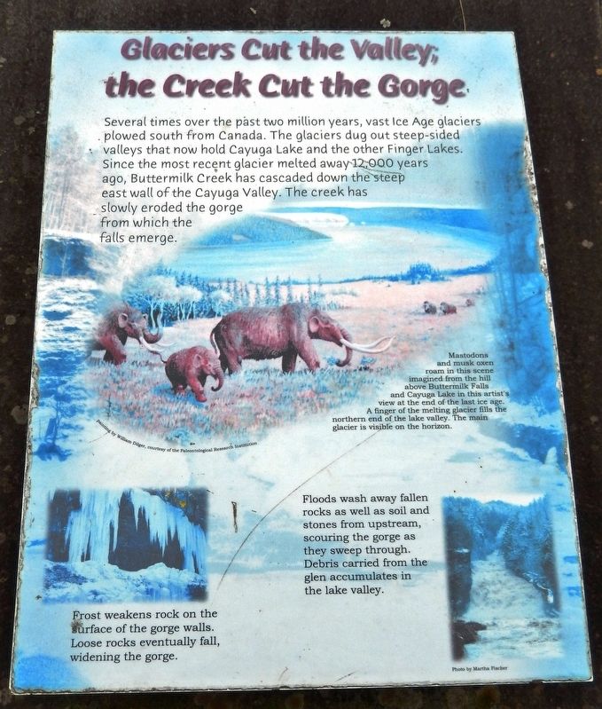 Glaciers Cut the Valley; the Creek Cut the Gorge Marker. Click for full size. Glaciers Cut the Valley; the Creek Cut the Gorge Marker image. Click for full size.