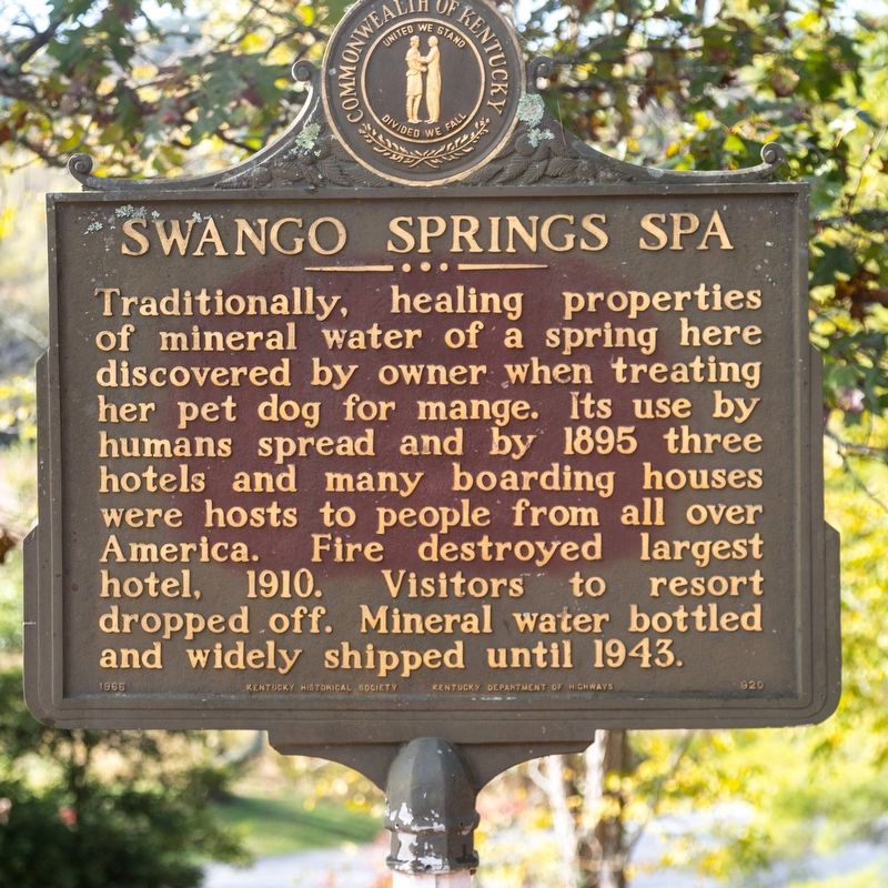 Swango Springs Spa Marker image. Click for full size.