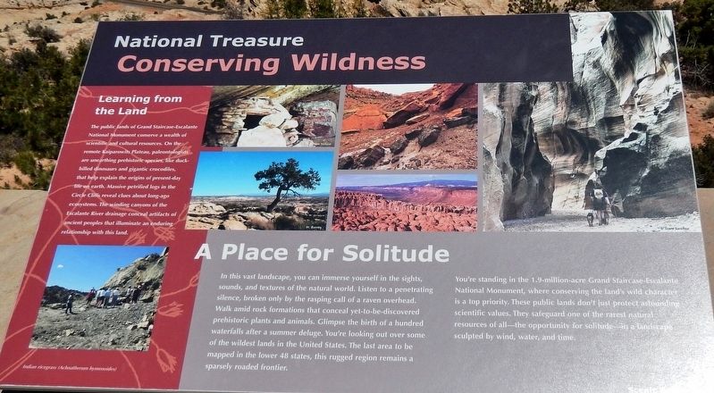 Conserving Wildness Marker image. Click for full size.