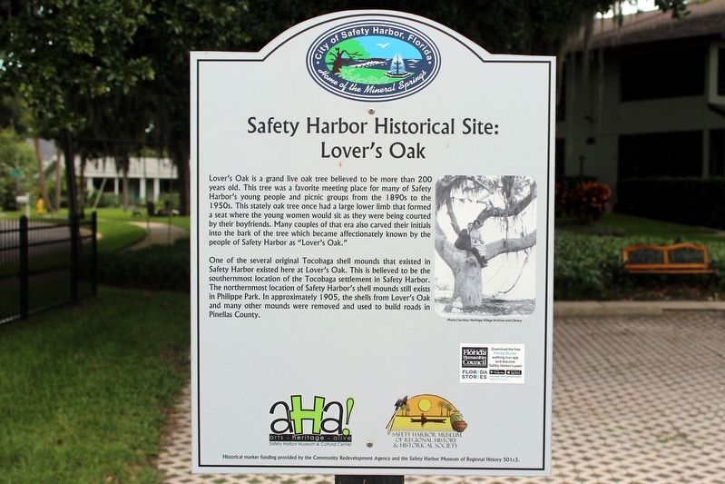 Safety Harbor Historical Site: Lover's Oak Marker. Click for full size. Safety Harbor Historical Site: Lover's Oak Marker image. Click for full size.