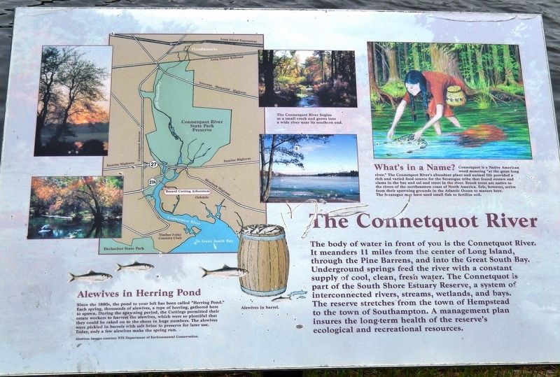 The Connetquot River Marker image. Click for full size.