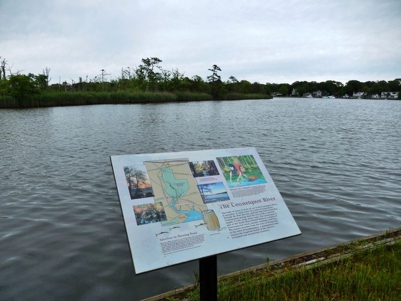 The Connetquot River Marker. Click for full size. The Connetquot River Marker image. Click for full size.